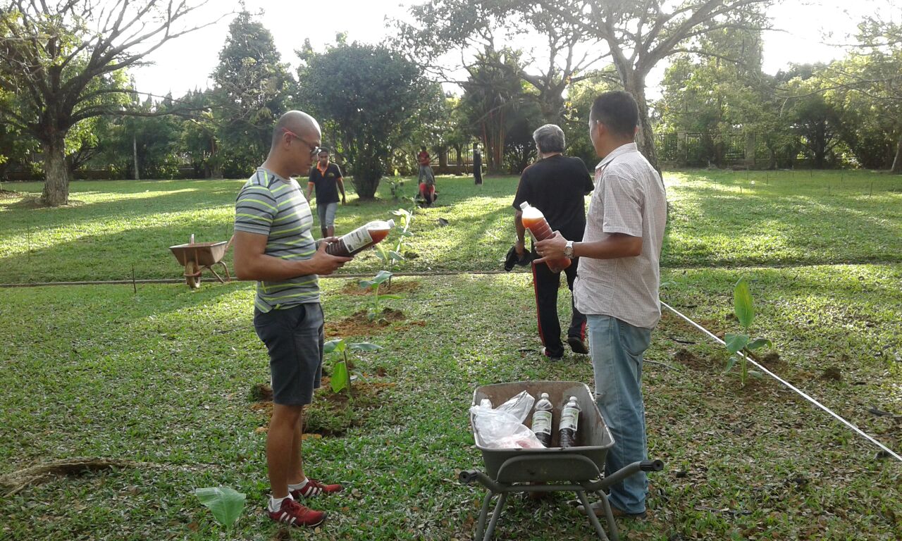 Organic Fertilizer Pickup from Papar Distribution Center- 20 FEB 2017 Organic Fertilizer Pickup from Papar Distribution Center- 20 FEB 2017